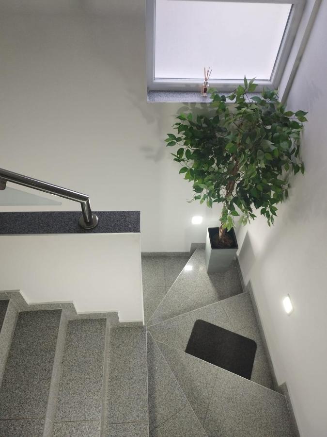 Apartman Lucano Bibinje Eksteriør bilde